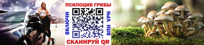 гидра зеркало  Углич  Псилоцибиновые грибы Cubensis 