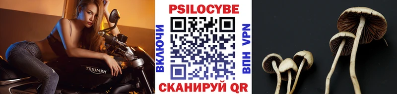 Псилоцибиновые грибы MAGIC MUSHROOMS Углич